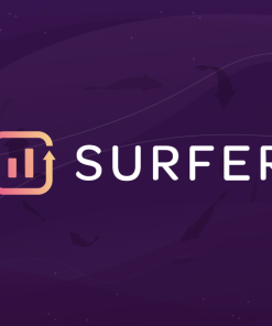Surfer seo